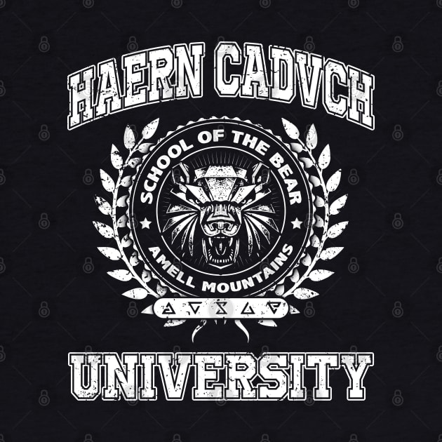 Haern Cadvch University Bear School by Designwolf